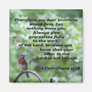 1コリント15:58 マグネット