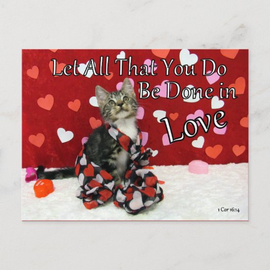 1コリント16:14聖書のはがき ポストカード (正面)