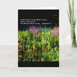 1コリント3:7のボグガーデン サンキューカード