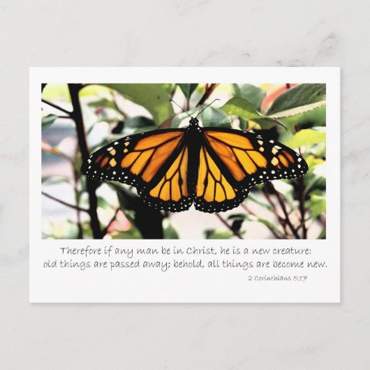 1コリント5もし:17だれでもキリストにある ポストカード (正面)