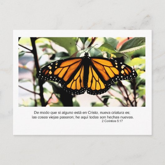 1コリント5:17スペインの人もしは誰でもキリストにある ポストカード (正面)