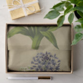 1シラペルビアナ2シラペルビアナアルバ 薄葉紙 (ギフト)