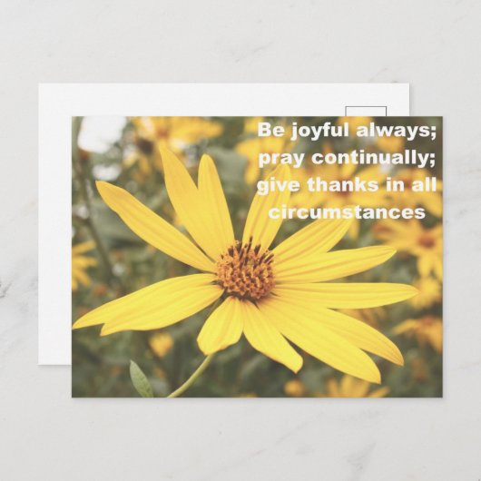 1テサロニケ5:16-18のひまわりポストカード ポストカード (正面/裏面)