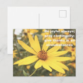1テサロニケ5:16-18 ヒマワリ ポストカード (正面/裏面)