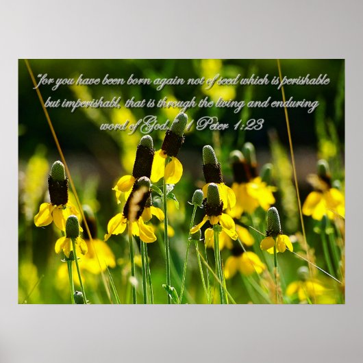 1ペテロ1:23ポスタ感動的ー ポスター (正面)