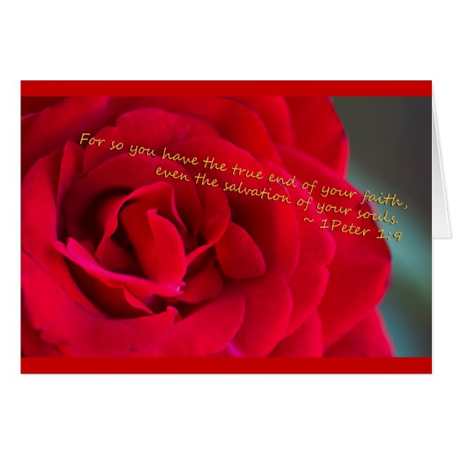 1ペテロ1:9 (正面横)