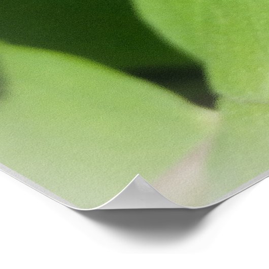 1ページのハチ ポスター (角)