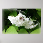 1ページのハチ ポスター (正面)