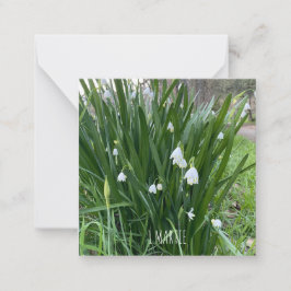 1マティ・ノート・カード ノートカード