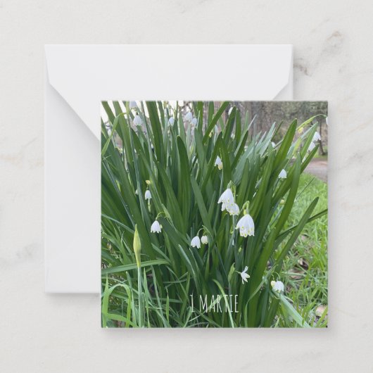 1マティ・ノート・カード ノートカード (正面)