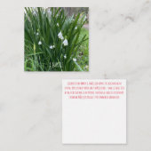 1マティ・ノート・カード ノートカード (正面/裏面)