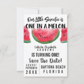 1メロンウォーター色のスイカ1歳 セーブザデート (正面)