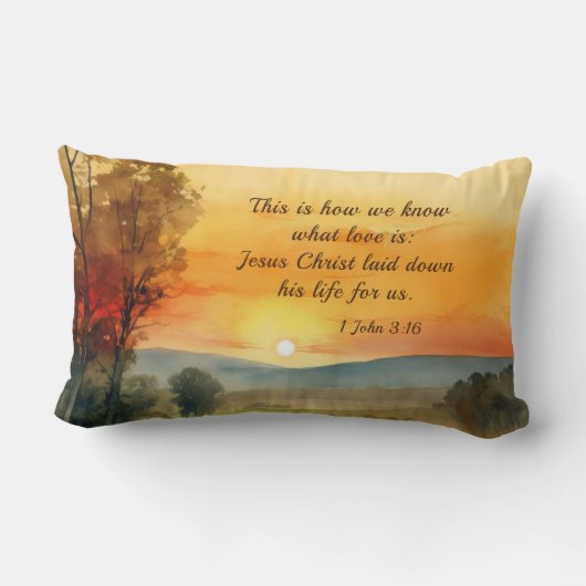 1ヨハネ3:16イエスは私たちの聖書のために彼の命を置いた ランバークッション (裏面)