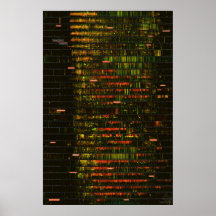 1ヶ月のイエローストーン