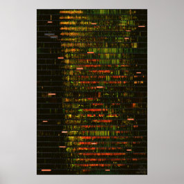 1ヶ月のイエローストーン ポスター