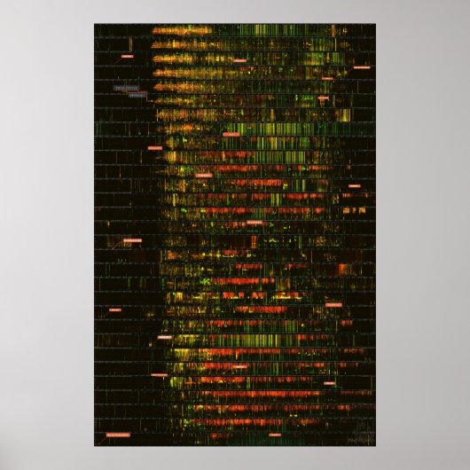 1ヶ月のイエローストーン ポスター (正面)