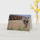 1人でランチ カード (黄色い花)