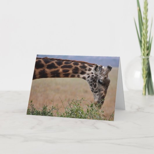 1人でランチ カード (正面)