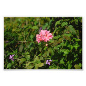 1人に2人 フォトプリント            (正面)