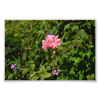 1人に2人 フォトプリント           