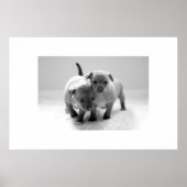 1人に2人 ポスター (正面)