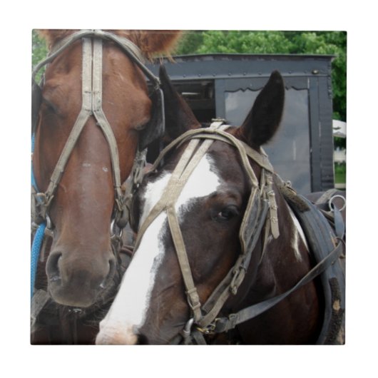 1人のピントを持つ2人の馬チーム タイル (正面)