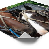 1人のピントを持つ2人の馬チーム ポスター (角)