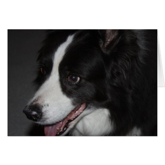 1人の女性 (正面横)