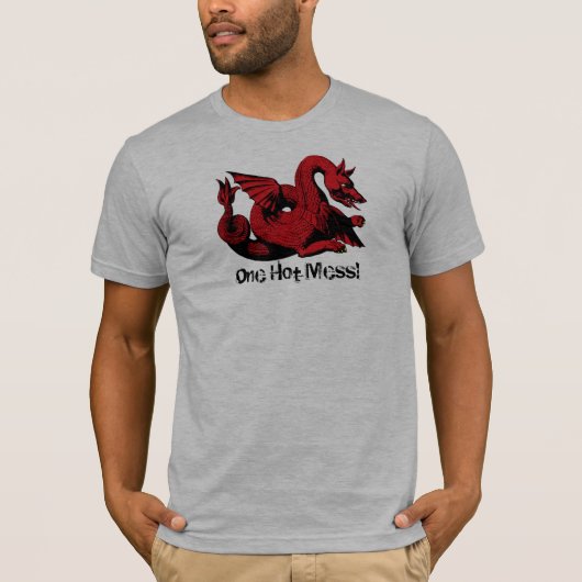 1人の熱い混乱のドラゴンの創造物 Tシャツ (正面)