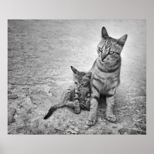 1人離れでも ポスター (正面)