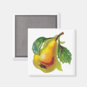 1個のナシ磁石 マグネット (正面/裏面)