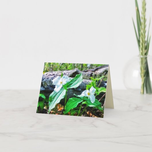 1兆ドルのグリーティングカード カード (正面)