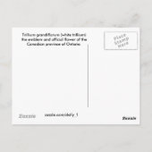 1兆 ポストカード (裏面)