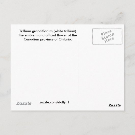 1兆 ポストカード (裏面)