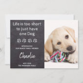 1匹の犬には短すぎる新しいペットの新しい子犬の人生 案内状 (正面)