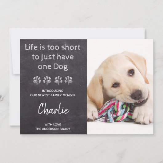 1匹の犬には短すぎる新しいペットの新しい子犬の人生 案内状 (正面)