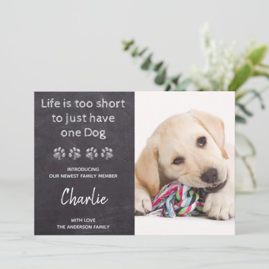 1匹の犬には短すぎる新しいペットの新しい子犬の人生 案内状 (スタンド正面)