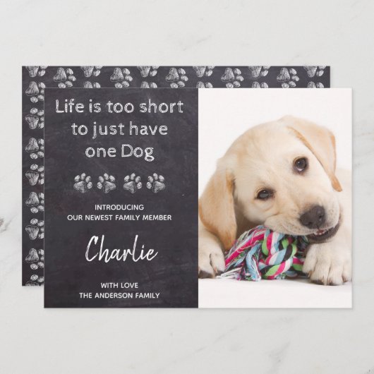 1匹の犬には短すぎる新しいペットの新しい子犬の人生 案内状 (正面/裏面)