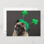 1回のラッキーなパグ ポストカード (正面/裏面)