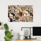 1平方足の貝殻 ポスター (ホームオフィス)