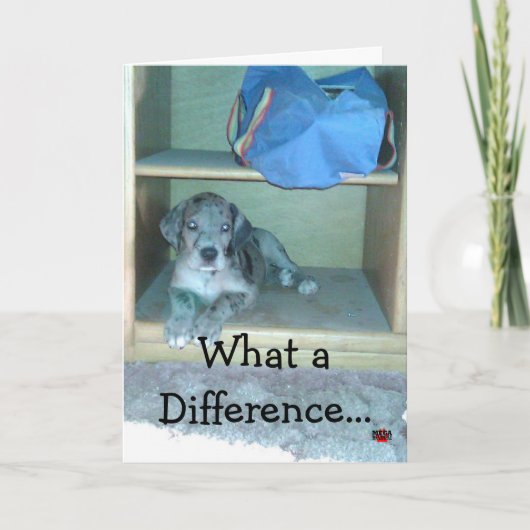 1年で何が違うんだよ!!!! カード (正面)