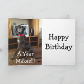 1年で何が違うんだよ!!!! カード (内部)