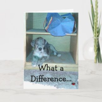 1年で何が違うんだよ!!!! カード