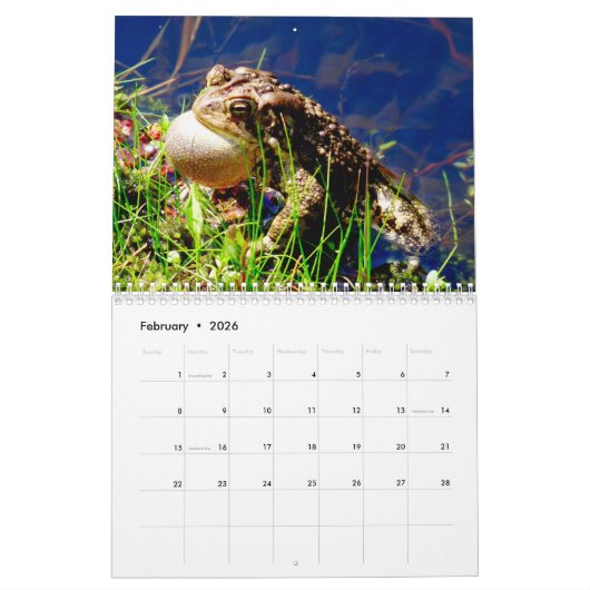 1年のカエルのカレンダー カレンダー (2月 2026)