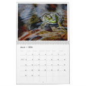 1年のカエル2 カレンダー (3月 2026)