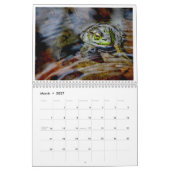 1年のカエル2 カレンダー (3月 2027)