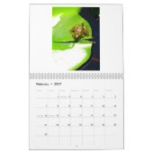 1年のカエル2 カレンダー (2月 2027)