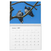 1年のハゲワシ カレンダー (1月 2027)