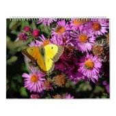 1年の壁カラフルカレンダーを持つ カレンダー (カバー)