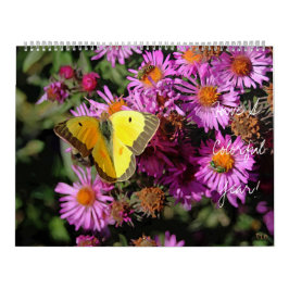 1年の壁カラフルカレンダーを持つ カレンダー